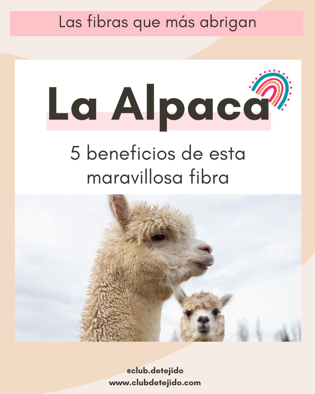 beneficios tejer lana alpaca fibra natural