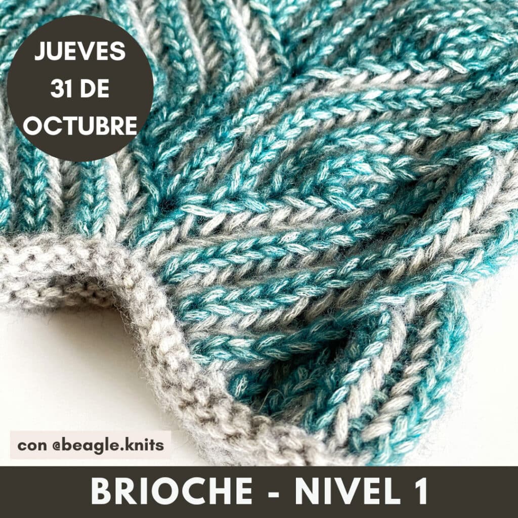 brioche dos agujas principiantes