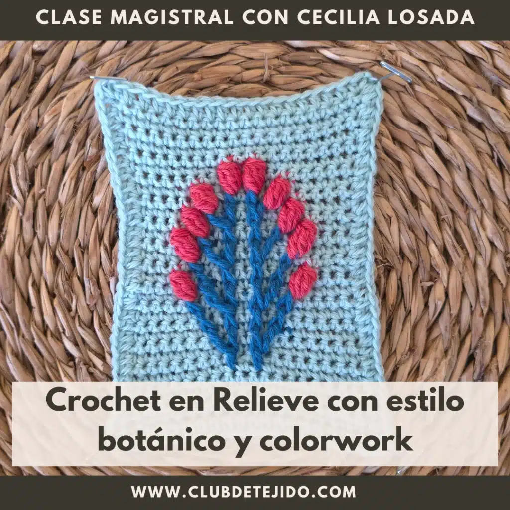 crochet ganchillo relieve colorwork