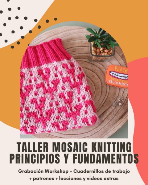 14-taller-punto-mosaico-mosaic-knitting-para-principiantes-por-cecilia-losada-club-de-tejido-mammadiypatterns
