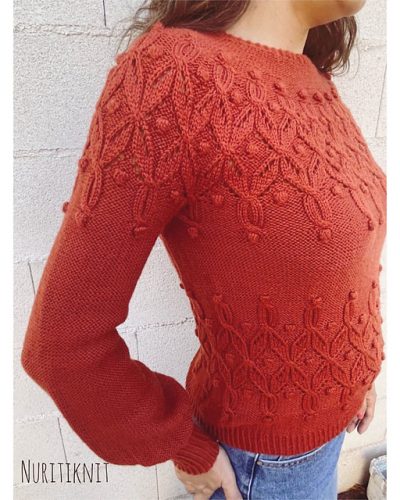 Alkharif-Knitting-Sweater-by-Cecilia-Losada-mammadiypatterns-club-de-tejido-proyecto-terminado-50