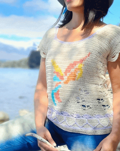 Top-Colibri-por-veronica-visosky-club-de-tejido-patron-crochet-intarsia-2