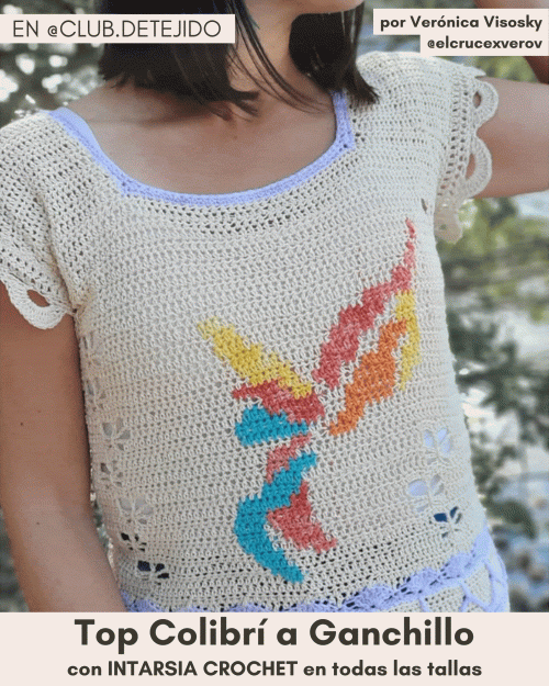 Top-a-Crochet-Colibri-intarsia-ganchillo-por-veronica-visosky-elcrucexverov-patron-guia-de-tejido-club-de-tejido-semivertical