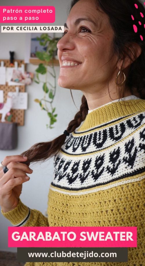 jersey canesu circular tapestry crochet ganchillo