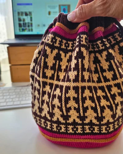 bolso-de-proyecto-rutas-ancestrales-por-cecilia-losada-patron-punto-3