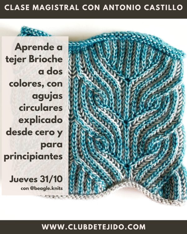 brioche dos agujas principiantes