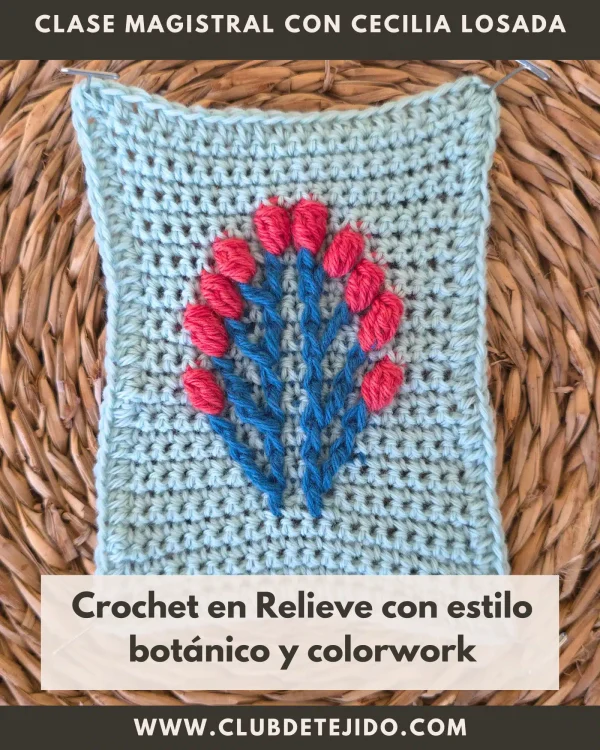 crochet ganchillo relieve colorwork