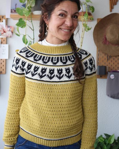 garabato-sweater-jersey-tapestry-crochet-canesu-circular-yoke-por-cecilia-losada-mammadiypatterns-1