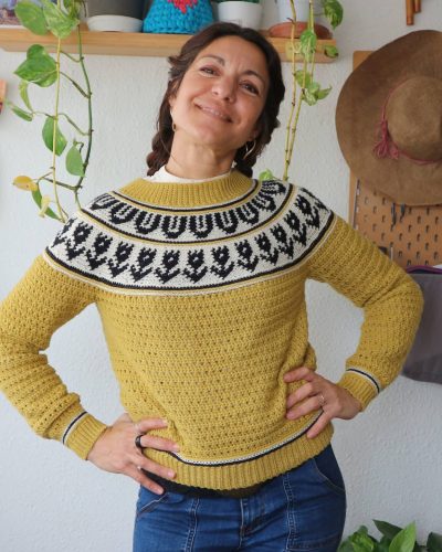 garabato-sweater-jersey-tapestry-crochet-canesu-circular-yoke-por-cecilia-losada-mammadiypatterns-13