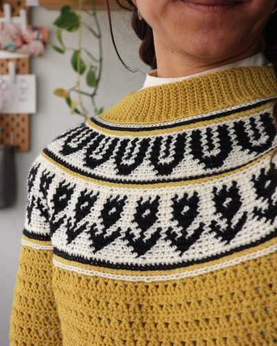 garabato-sweater-jersey-tapestry-crochet-canesu-circular-yoke-por-cecilia-losada-mammadiypatterns-22