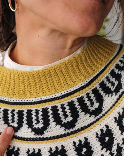 garabato-sweater-jersey-tapestry-crochet-canesu-circular-yoke-por-cecilia-losada-mammadiypatterns-24
