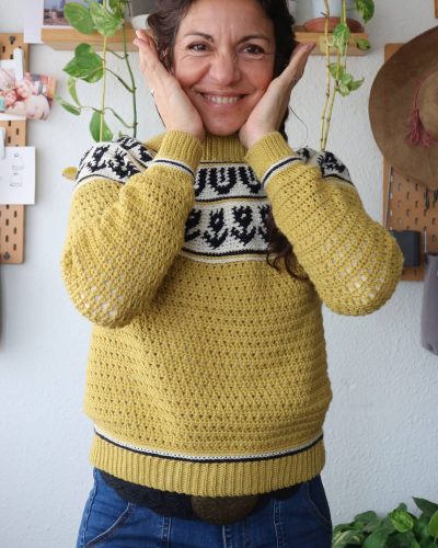 garabato-sweater-jersey-tapestry-crochet-canesu-circular-yoke-por-cecilia-losada-mammadiypatterns-4