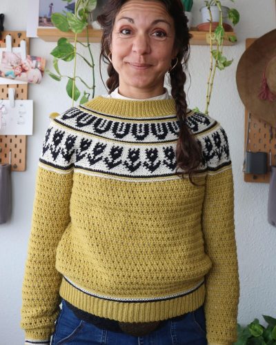 garabato-sweater-jersey-tapestry-crochet-canesu-circular-yoke-por-cecilia-losada-mammadiypatterns-5
