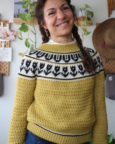 garabato-sweater-jersey-tapestry-crochet-canesu-circular-yoke-por-cecilia-losada-mammadiypatterns-7