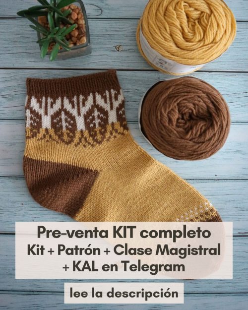 kit-CLUB-calcetines-colorwork-talon-vueltas-cortas-club-de-tejido-cecilia-losada