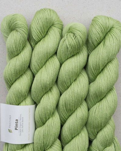 hilado pinta de pascuali merino seda ramio