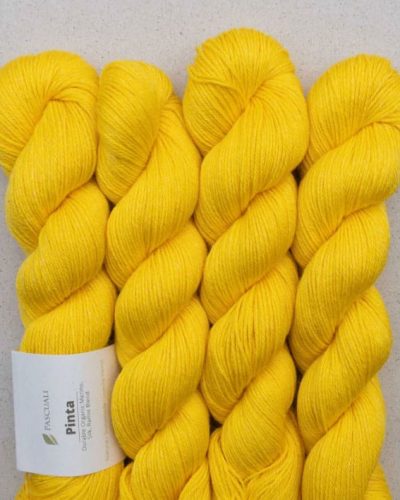 hilado pinta de pascuali merino seda ramio