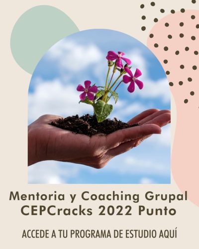 mentoria-y-coaching-grupal-cepcracks-2022-punto-tejedoras-emprendedoras