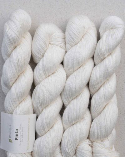 hilado pinta de pascuali merino seda ramio