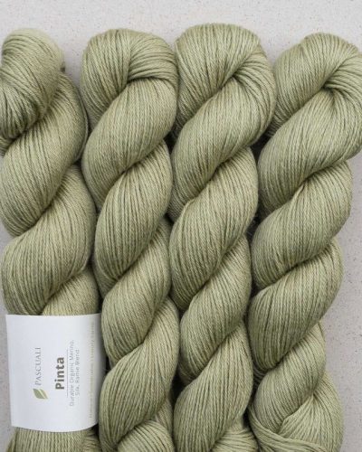hilado pinta de pascuali merino seda ramio