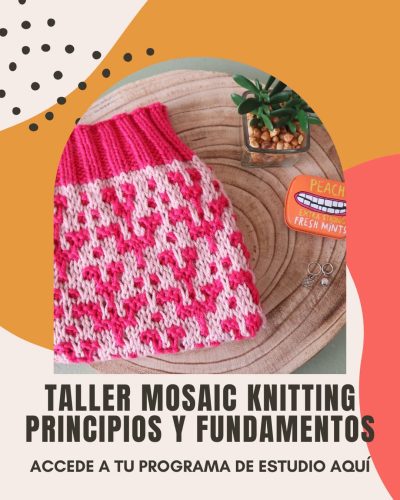taller-online-mosaic-knitting-a-dos-agujas-club-de-tejido