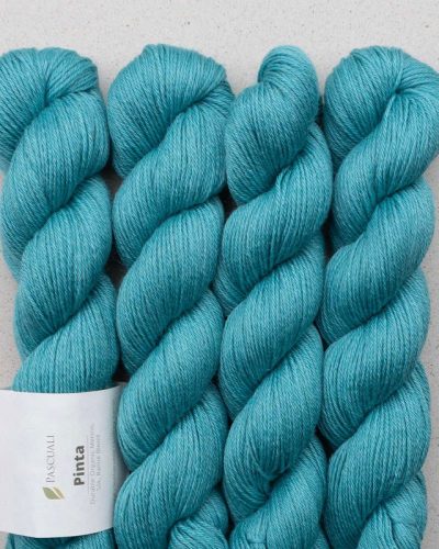 hilado pinta de pascuali merino seda ramio